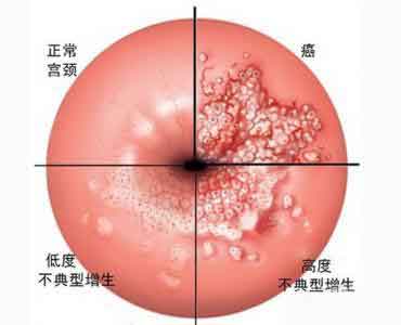 不管你同不同意语录,不管你同不同意