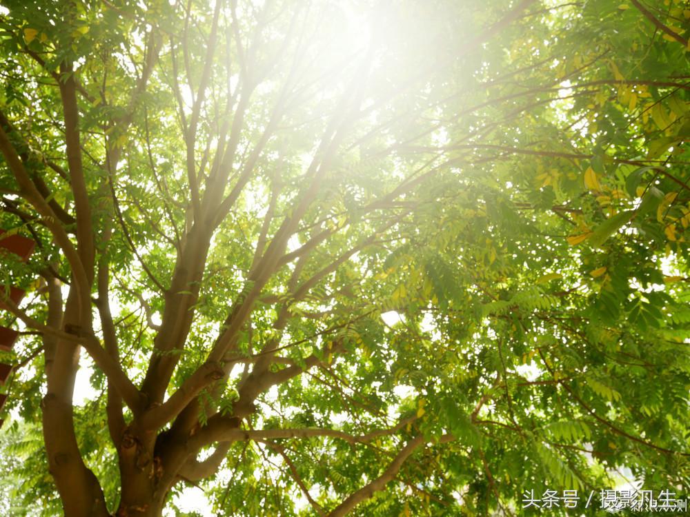 松下gf9可以自拍吗,带女朋友旅游拍照相机推荐