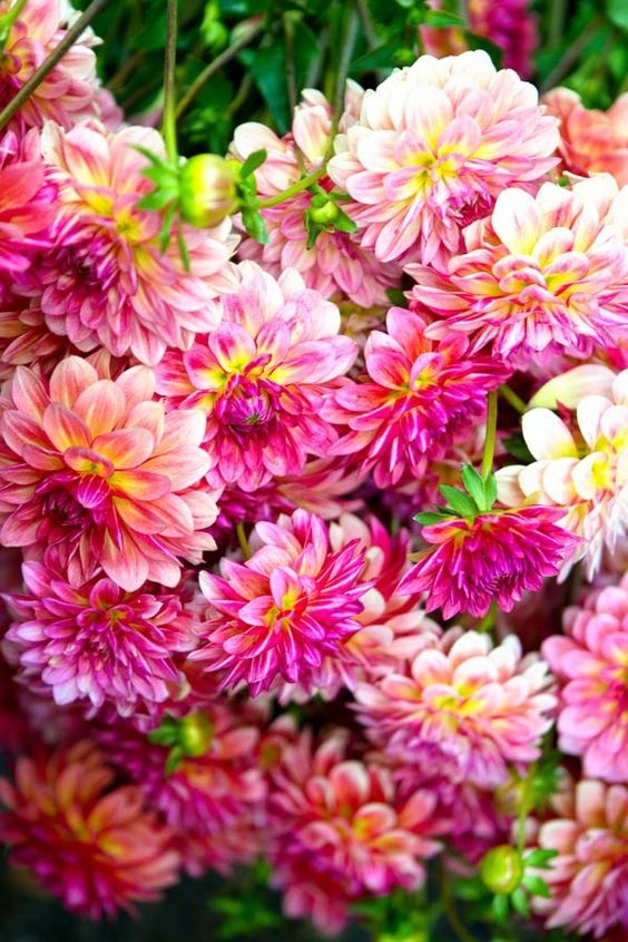 我公司破产对方欠我钱不还,我们公司倒闭了