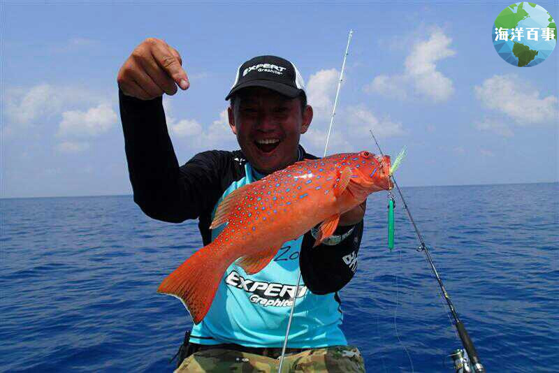 东星斑属于海鲜吗,东星斑海鲜图片