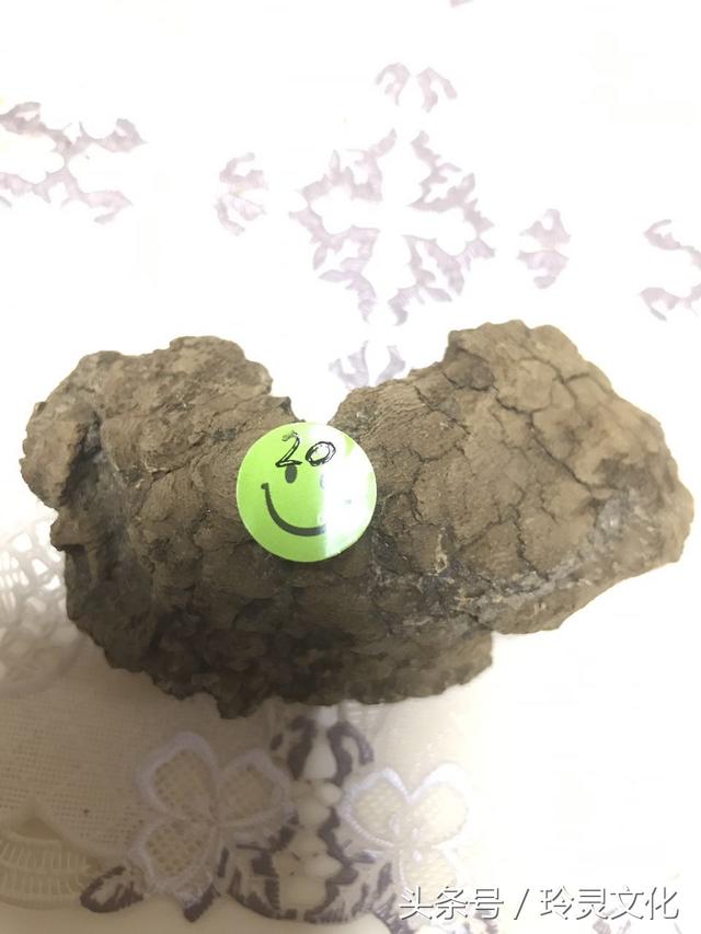 假的越南黑色土沉香,顶级沉香精品图片大全