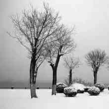 我有一个想法想让你得到我,我有一个大胆的想法你想听吗