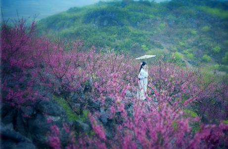 农家小院田园风光的优美诗句,山水田园诗八首