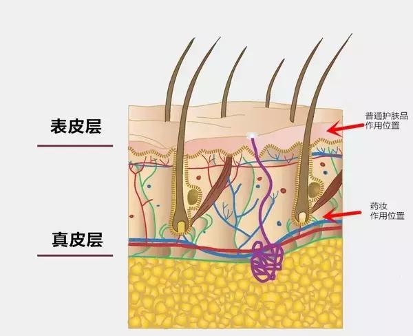 药妆可以长期使用吗,药妆护肤品真的可靠吗