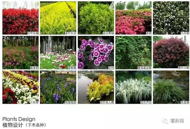 都匀一中校园环境,都匀一中生活环境