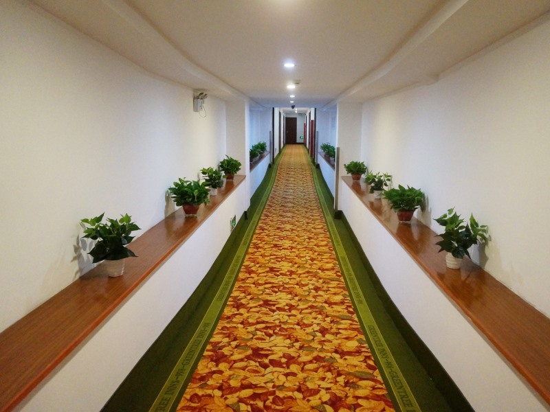 上海苏州自由行攻略,端午节去哪玩苏州上海