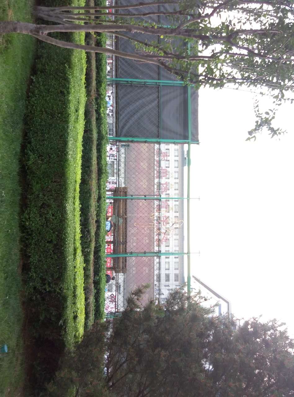 杨政日落东单集锦,叶天日落东单集锦