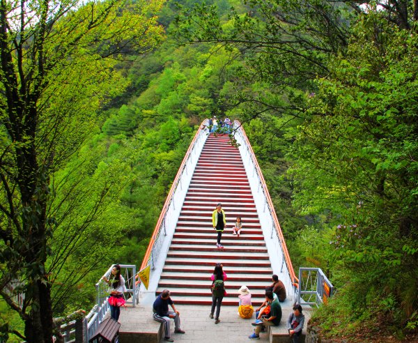 神农架有几个洞,神农架有一个神秘的深谷