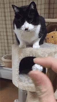 我书读得少你别骗我啊,我还从没见过打吊针打屁股上的