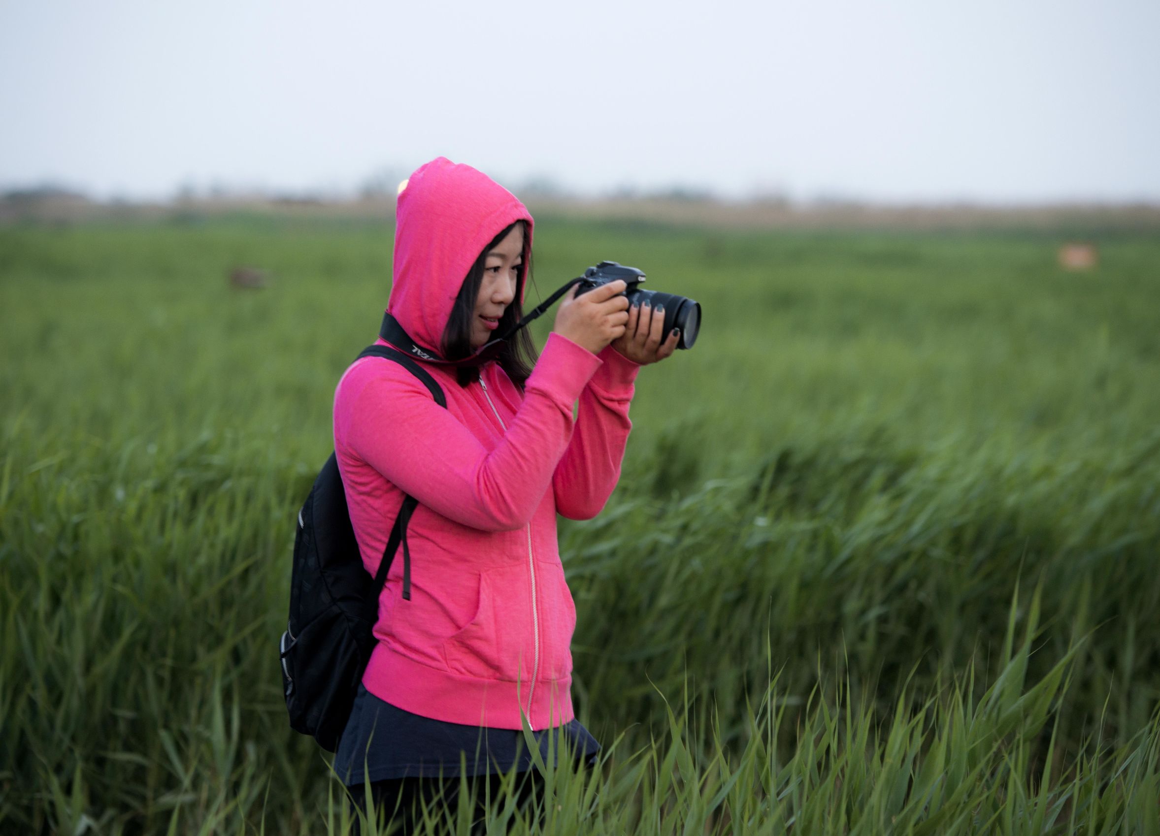曹妃甸曹妃事件,曹妃甸区曹妃