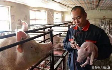 疫苗过敏打脱敏针疫苗还有用吗,疫苗过敏吃氯雷他定