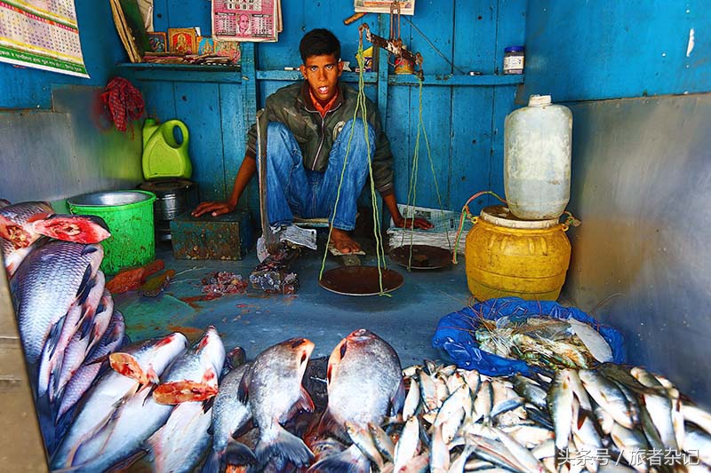 印度大吉岭红茶有几个品牌,印度大吉岭红茶品种