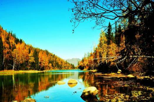 独家｜一文读懂数据可视化