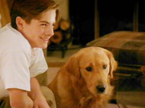 电影飞狗巴迪片段,飞狗巴迪电影中文版