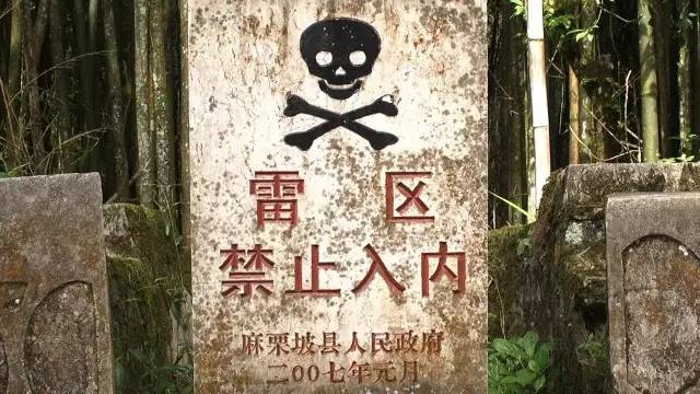 炼狱之战老山作战纪实,老山炼狱之战纪录片全集