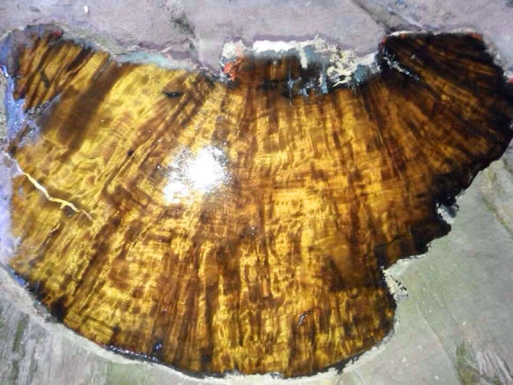 金丝楠木手串价格高低,拼多多的金丝楠木手串9.9是真的吗