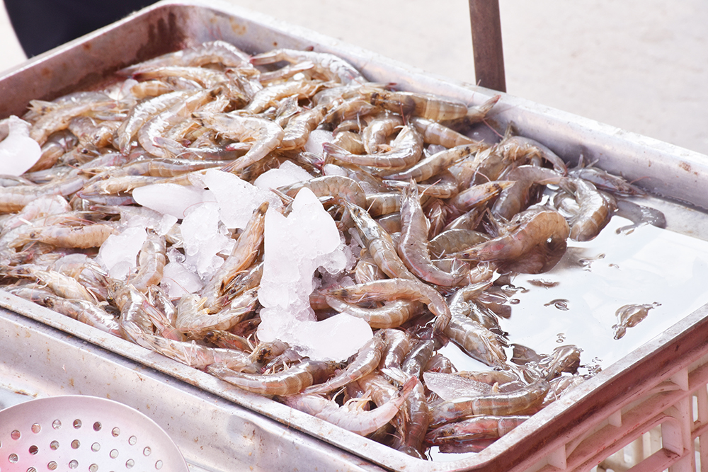 经典海鲜摄影图片,鲜活海鲜摄影技巧