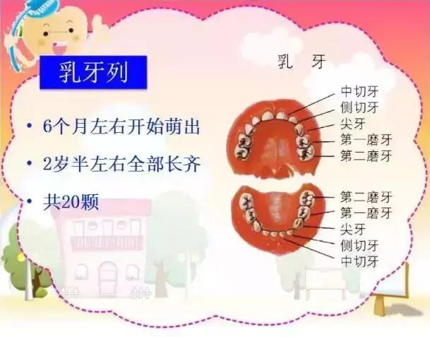 5岁乳牙龋齿需要治疗吗,5岁孩子乳牙有蛀牙怎么处理