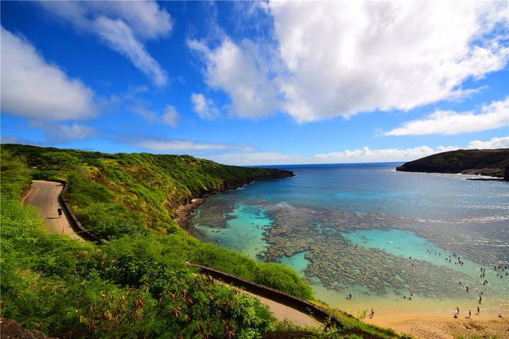骨灰级探险视频,水上运动场夏威夷maui岛浮潜