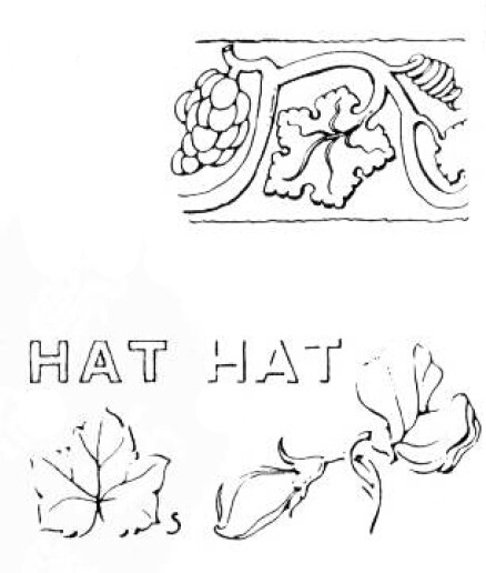 绘画基础教程新手入门,绘画基础教程人物小狗