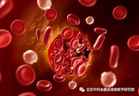 难治血小板减少症如何治,治疗血小板减少不可缺少一味中药