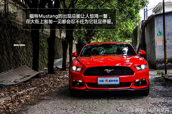 没有奔跑在草原的野马，成了男人心口的朱砂痣