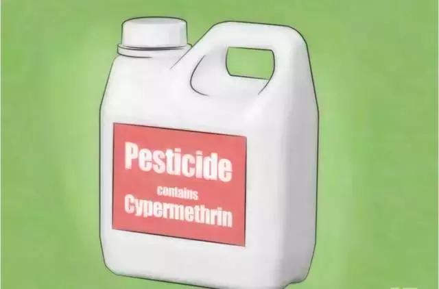 敌敌畏灭蟑螂最佳方法,快速灭蟑螂的6大方法