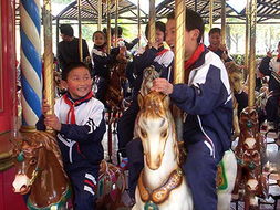 10个幽默搞笑段子让人笑得肚子疼,搞笑段子精选15秒