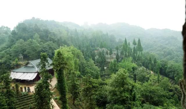 成都周边免费森林自然景点,成都森林避暑好去处