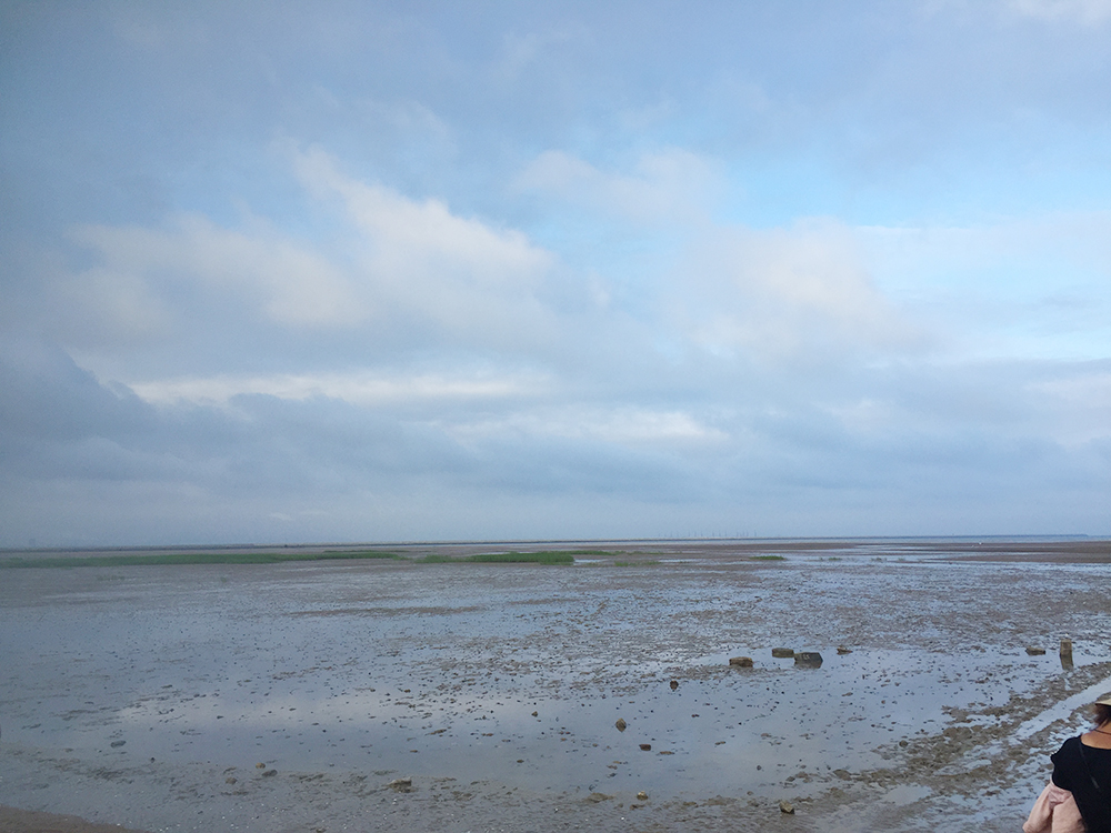 经典海鲜摄影图片,鲜活海鲜摄影技巧
