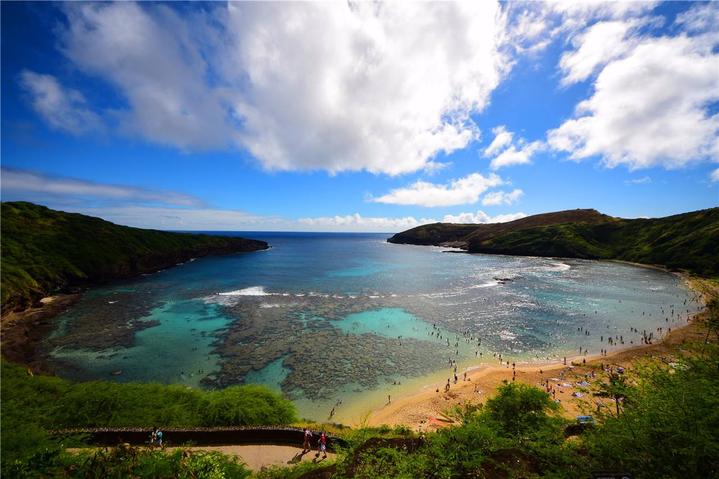 骨灰级探险视频,水上运动场夏威夷maui岛浮潜