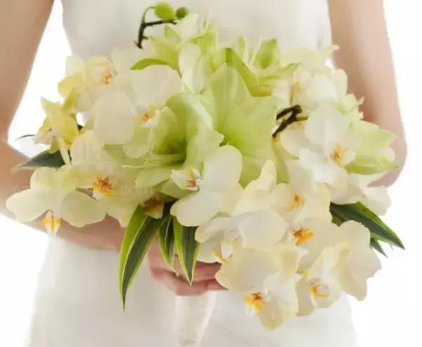 新娘手捧花20朵玫瑰代表什么,几支玫瑰花的寓意是什么呢