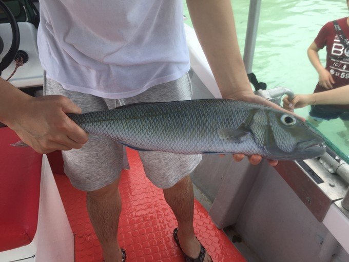 带着思念去海边,带着思念期待下一次再见
