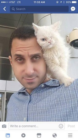 小猫少颗眼又长满癣，他“用爱灌溉”7天就变超美公主