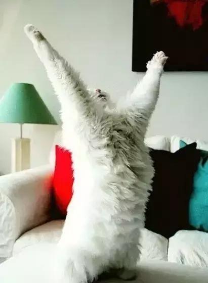 职场表情包朋友圈,职场表情包套装