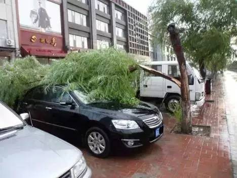 小区里乱停车挡道然后被锁了,小区里乱停车导致道路窄怎么举报