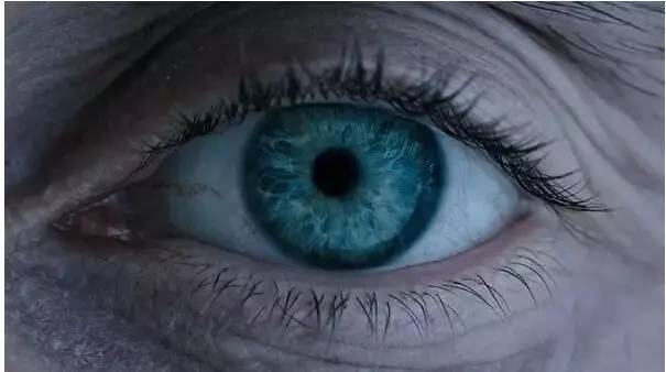 异形2全集剧情解析,看完异形二该看什么了