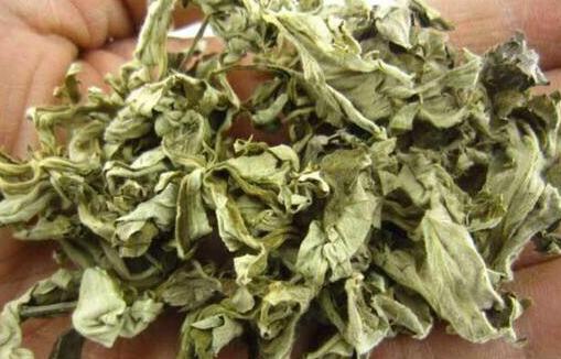 孕妇被蚊子咬了可以擦花露水吗,夏季蚊虫叮咬孕妇可以用花露水吗