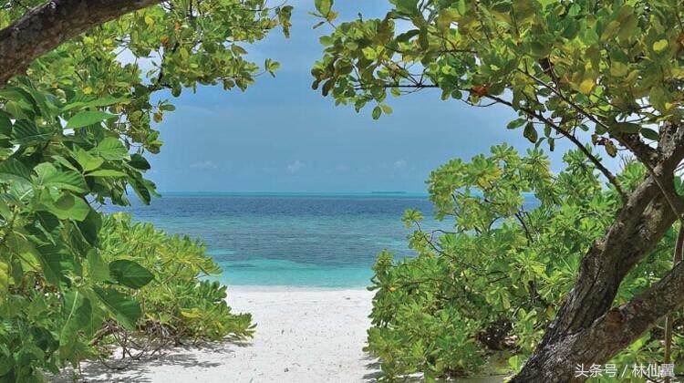 马尔代夫奥露岛好不好,马尔代夫奥露艾拉富士岛