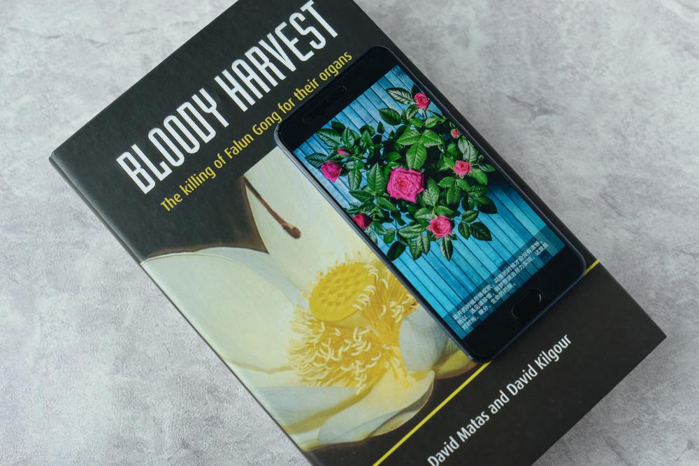 华为p10钻雕蓝后盖是什么做的,一抹蔚蓝高端定制