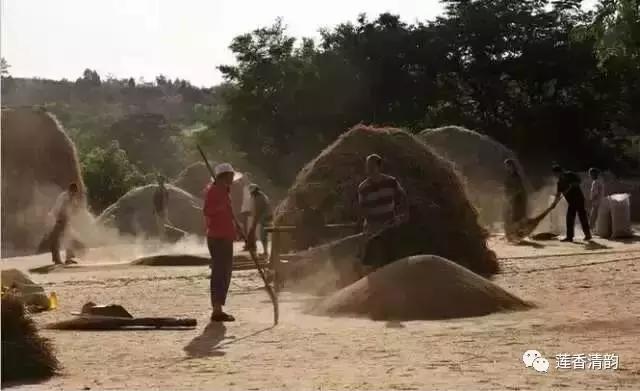 布谷鸟叫了完整版,布谷鸟叫了吗