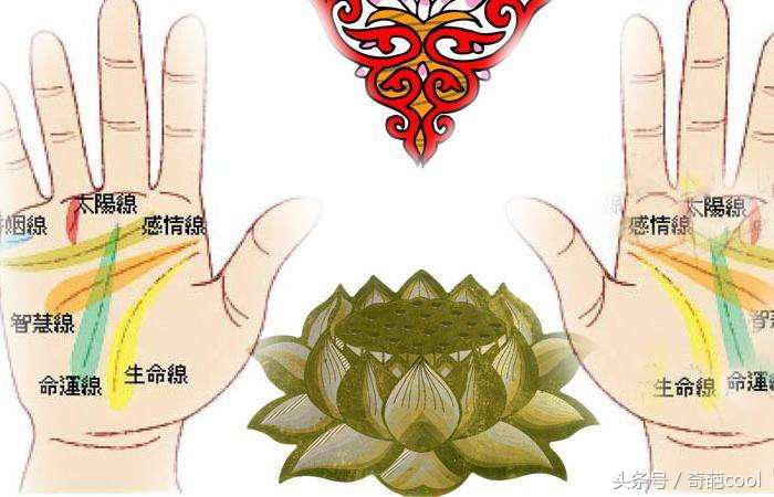 学校实用的冷知识有哪些 (学校学不到的知识有哪些)