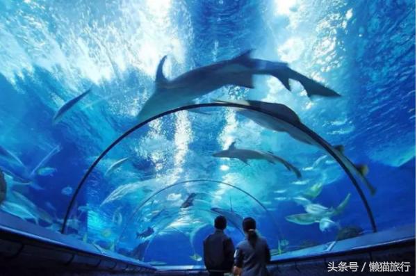 亲子游适合去泰国哪里,泰国普吉岛亲子游旅游攻略