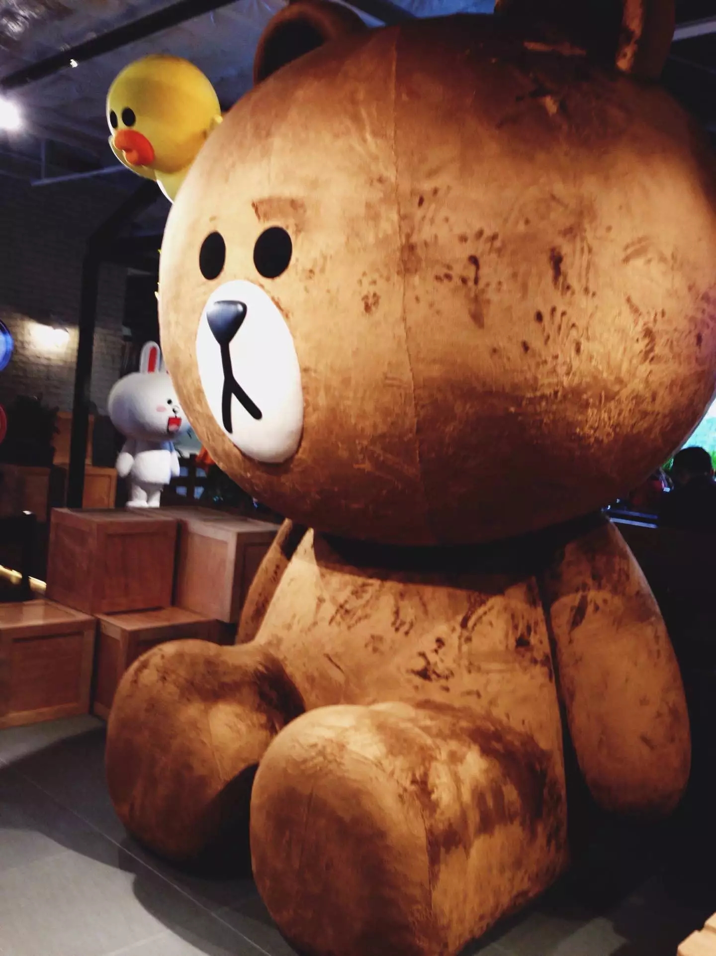 喜欢布朗熊可妮兔的你快看过来！