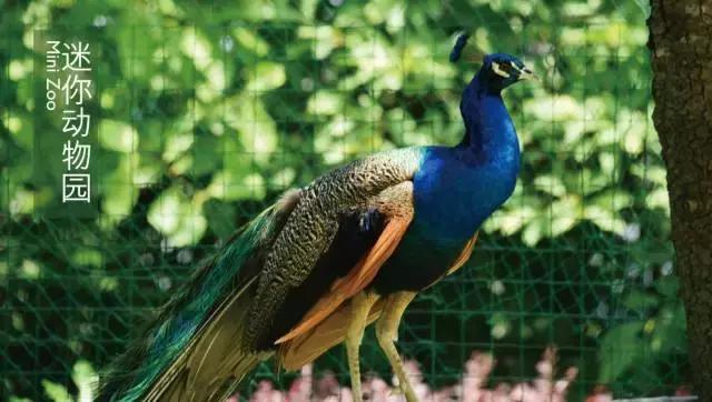 桂林两江四湖附近哪个酒店比较好,盘点桂林十大顶级酒店