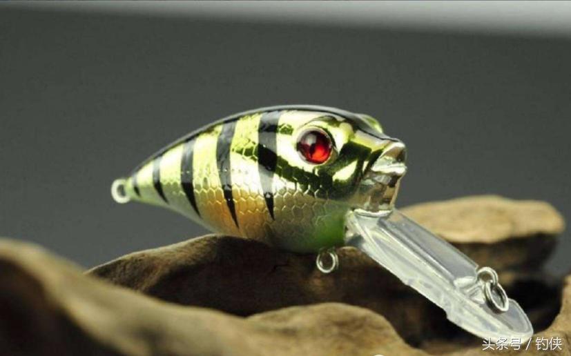 路亚假饵认识大全,钓鱼认识鱼漂视频