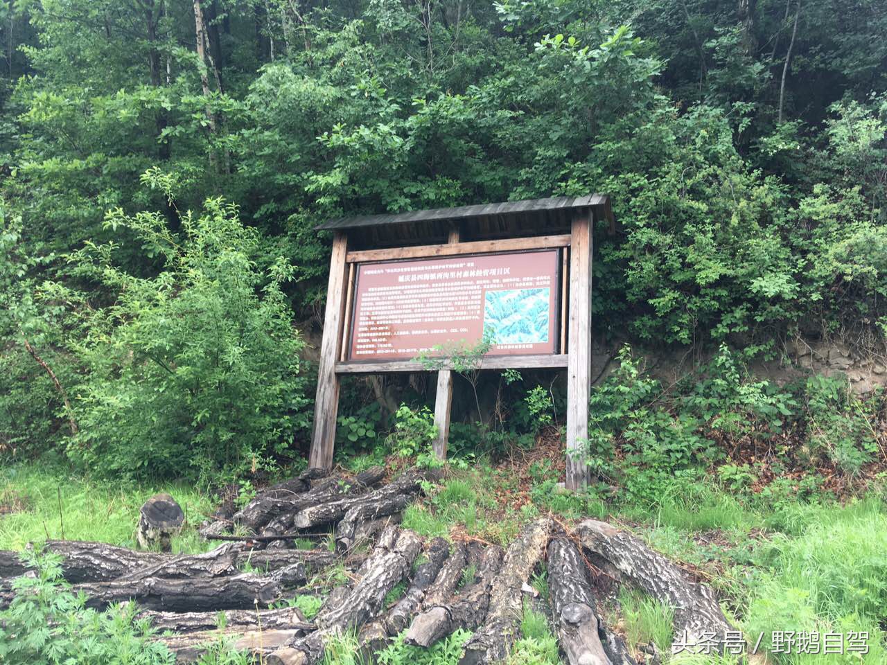 野鹅自驾：一个小泉眼，却养活了整个村子，冒出的气泡酷似珍珠！