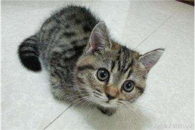 学校实用的冷知识有哪些 (学校学不到的知识有哪些)