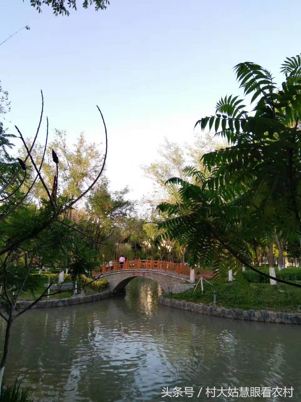 住院后的亲身经历,住院经历及感受