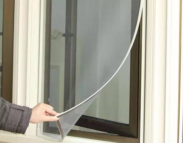 蟑螂老鼠蚊子苍蝇哪个最难对付,怎么对付蟑螂和蚊子和蚂蚁